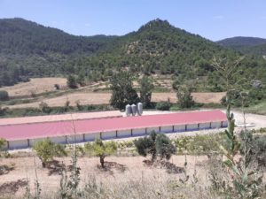 Construcción granja de pollos en Ráfales (Teruel)