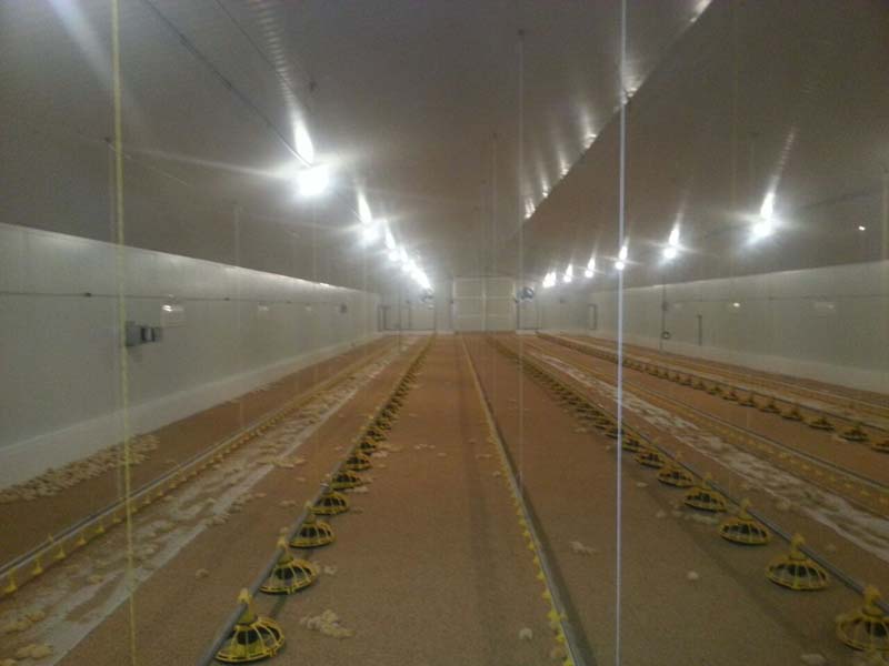 Construcción granja de pollos en Quintanar del Rey (Cuenca)