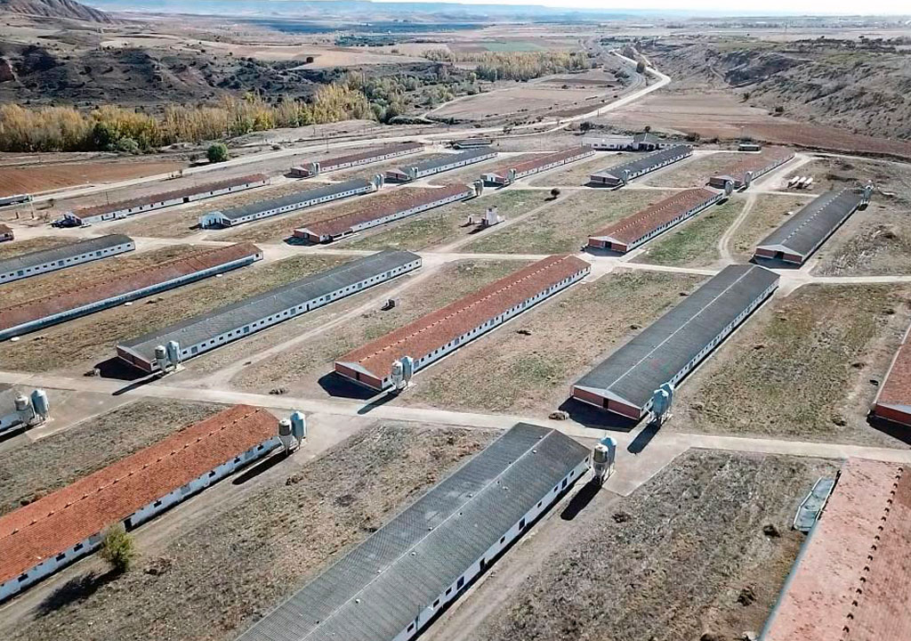 Construcción granjas avícolas en España
